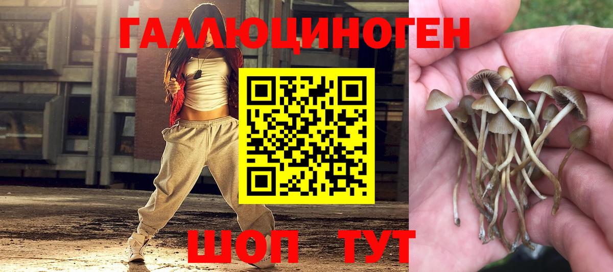 Гуково  Галлюциногенные грибы Cubensis  Псилоцибиновые грибы мицелий  Вход с VPN 
